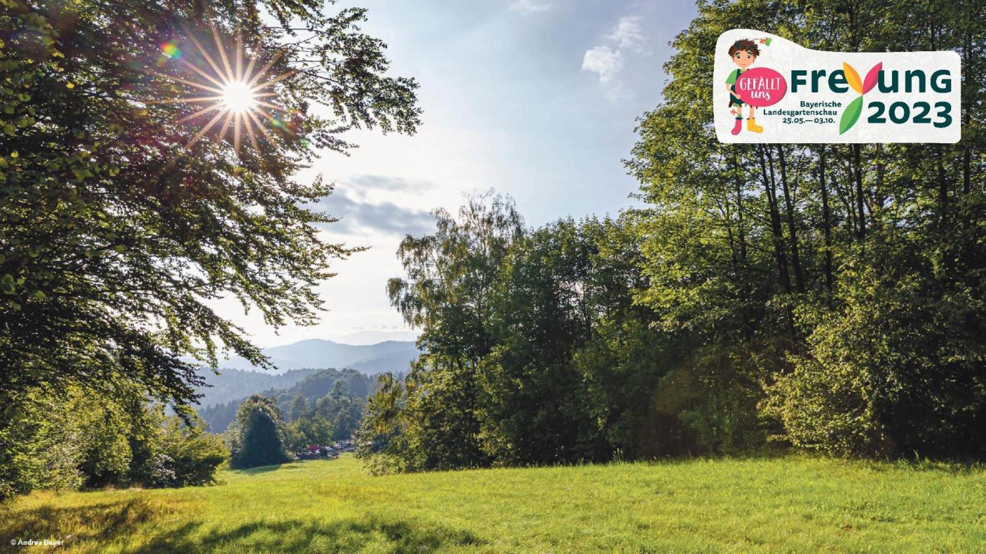 Ferienwohnungen Bayerischer Wald Mit Pool Freyung Luaran gambar